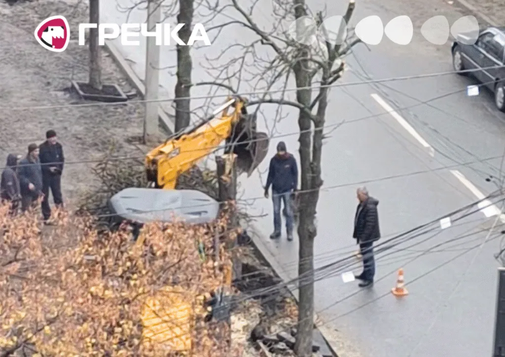 У центрі Кропивницького видалили дерево на вулиці Шевченка: чи висадять нов