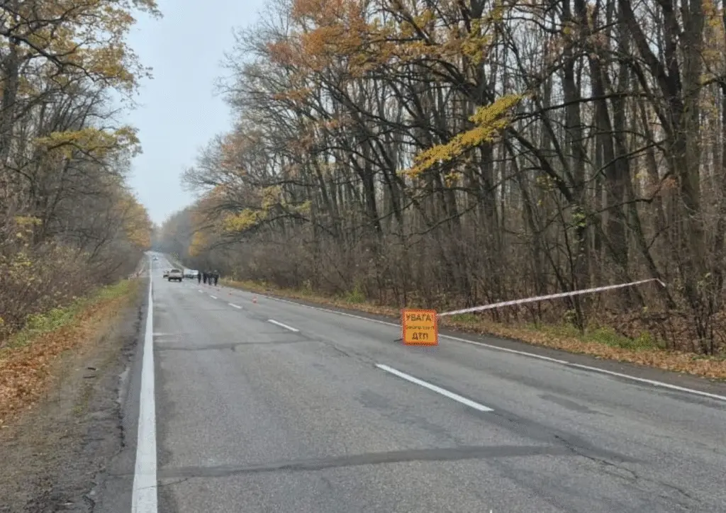У Кропивницькому вантажівка збила пішохода: поліція встановила особу водія
