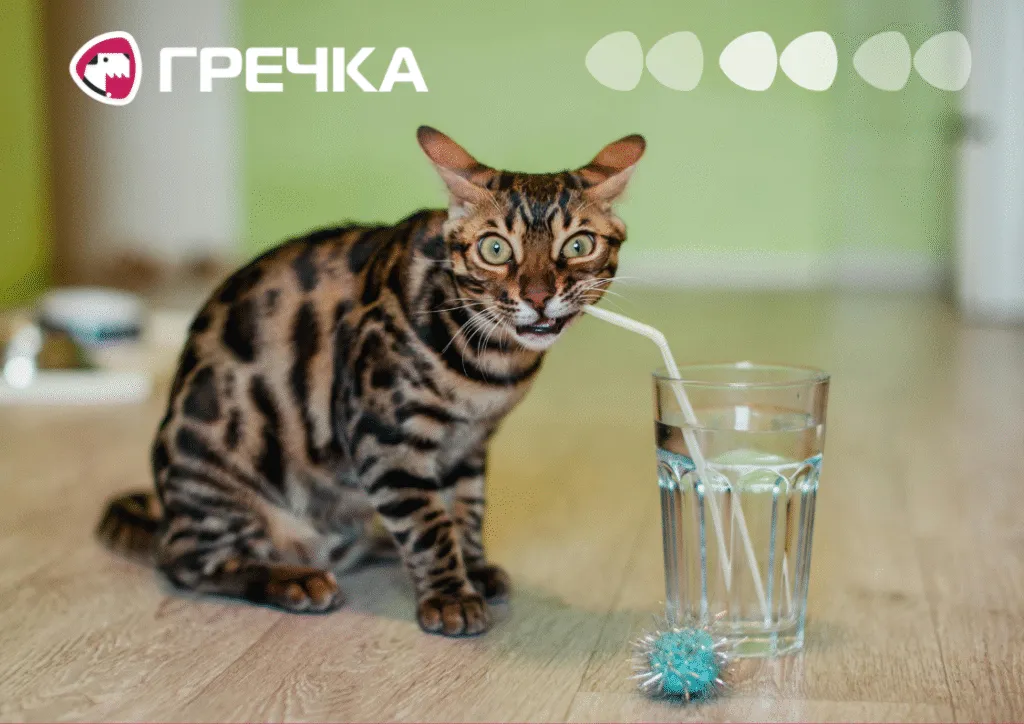 У Кропивницькому вдруге за два дні відключили воду в районі радіозаводу