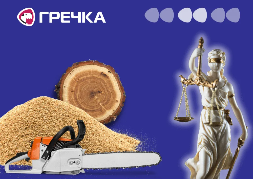 Мільйонні збитки і незаконна вирубка: резонансні кримінальні справи Кіровоградщини