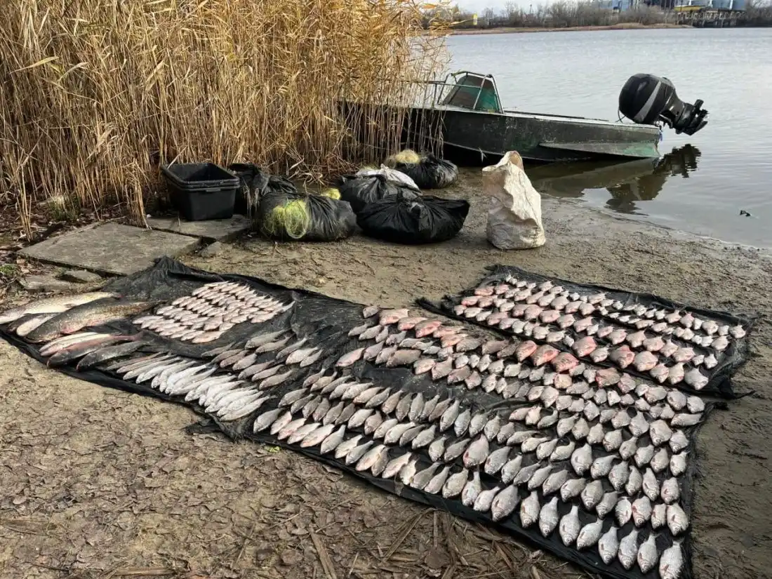 На Кіровоградщині браконьєри кинулися на інспекторів після вилову 73 кг риби