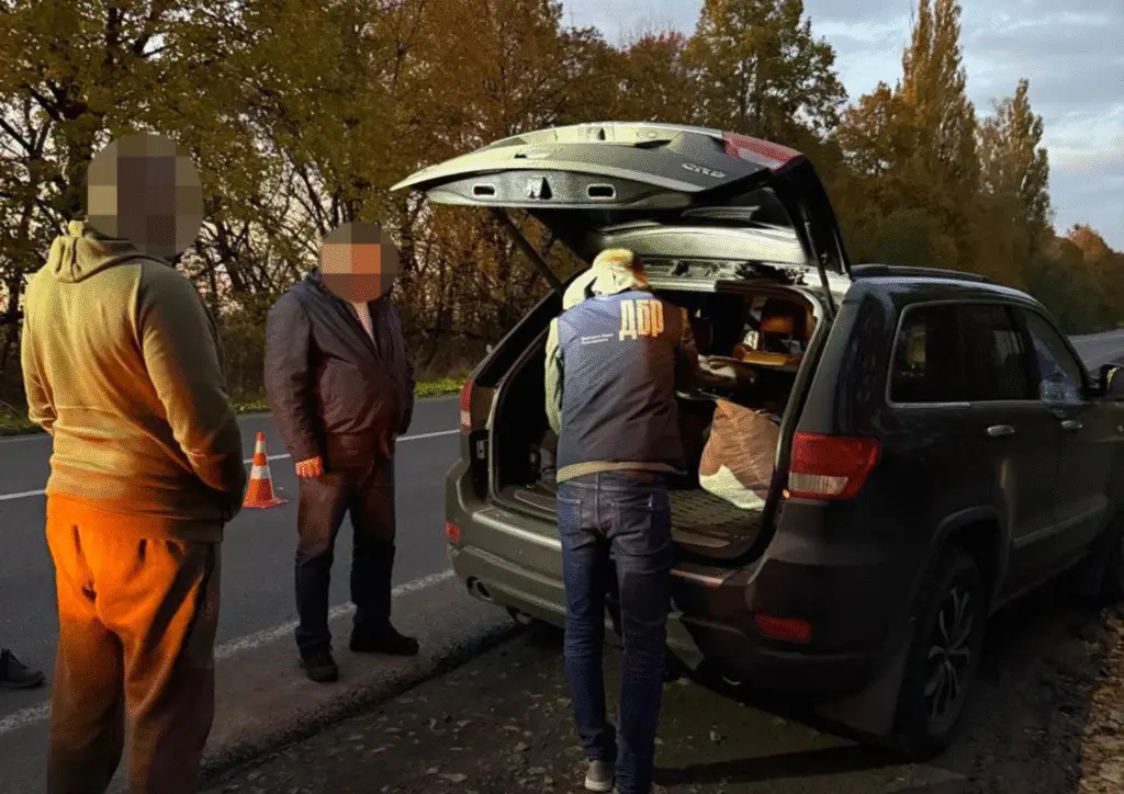 Корупційна схема незаконної вирубки дубів: ДБР викрило злочин у шести областях Україн