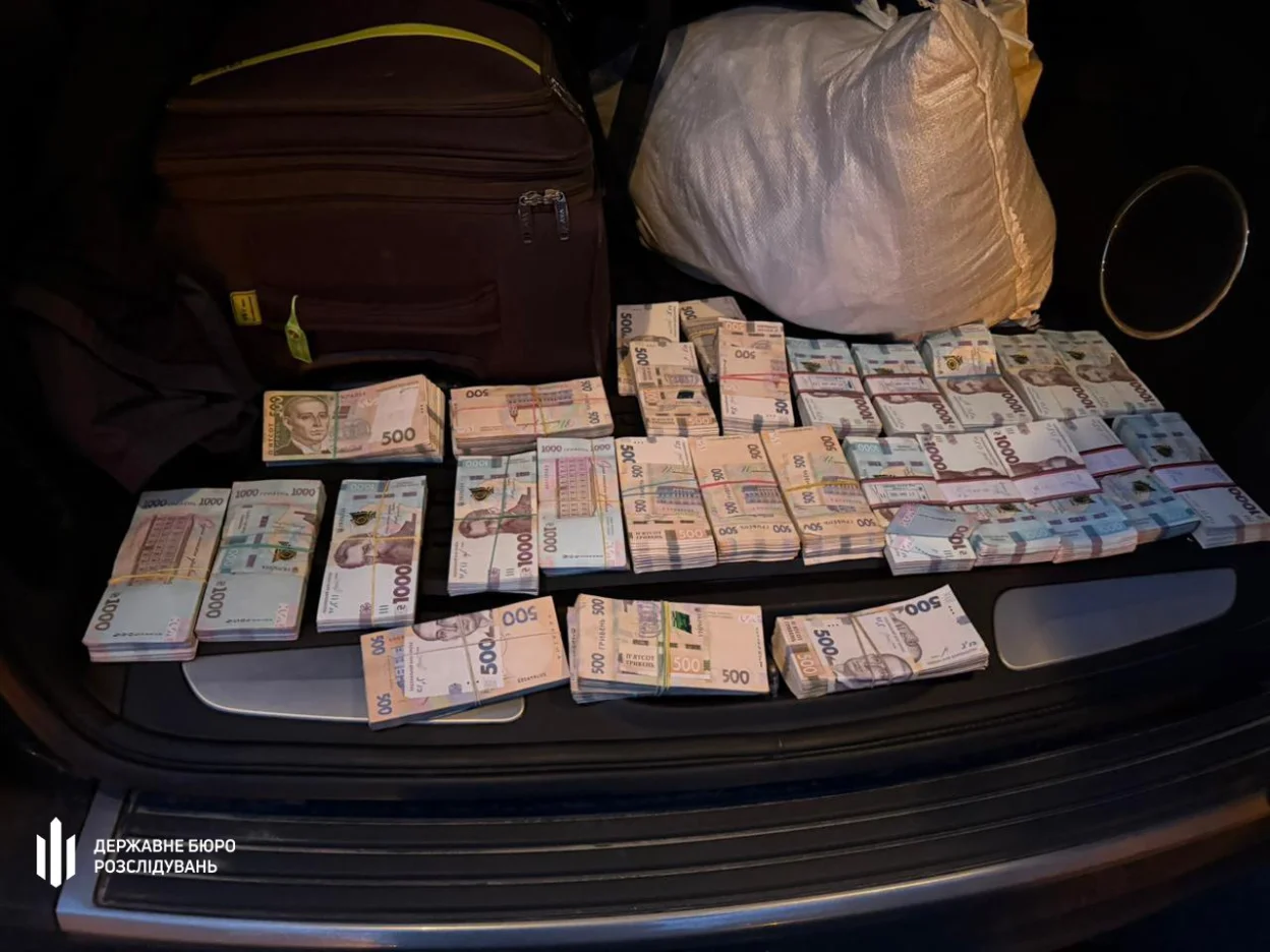 Корупційна схема незаконної вирубки дубів: ДБР викрило злочин у шести областях Україн