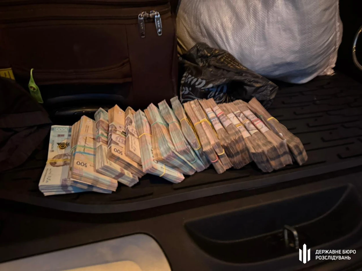 Корупційна схема незаконної вирубки дубів: ДБР викрило злочин у шести областях Україн