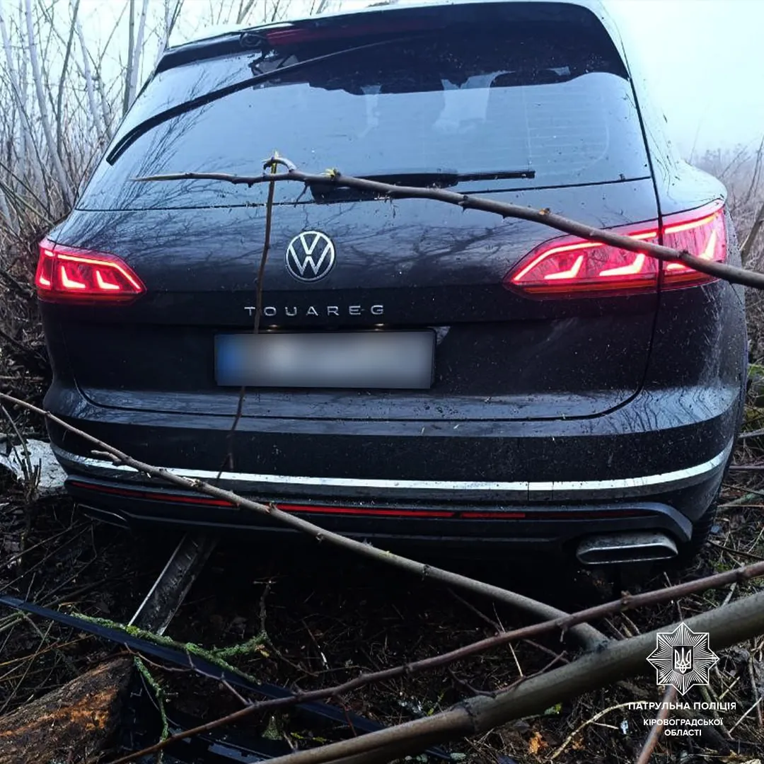 Біля Кропивницького Volkswagen врізався в дерево: обійшлося без постраждалих