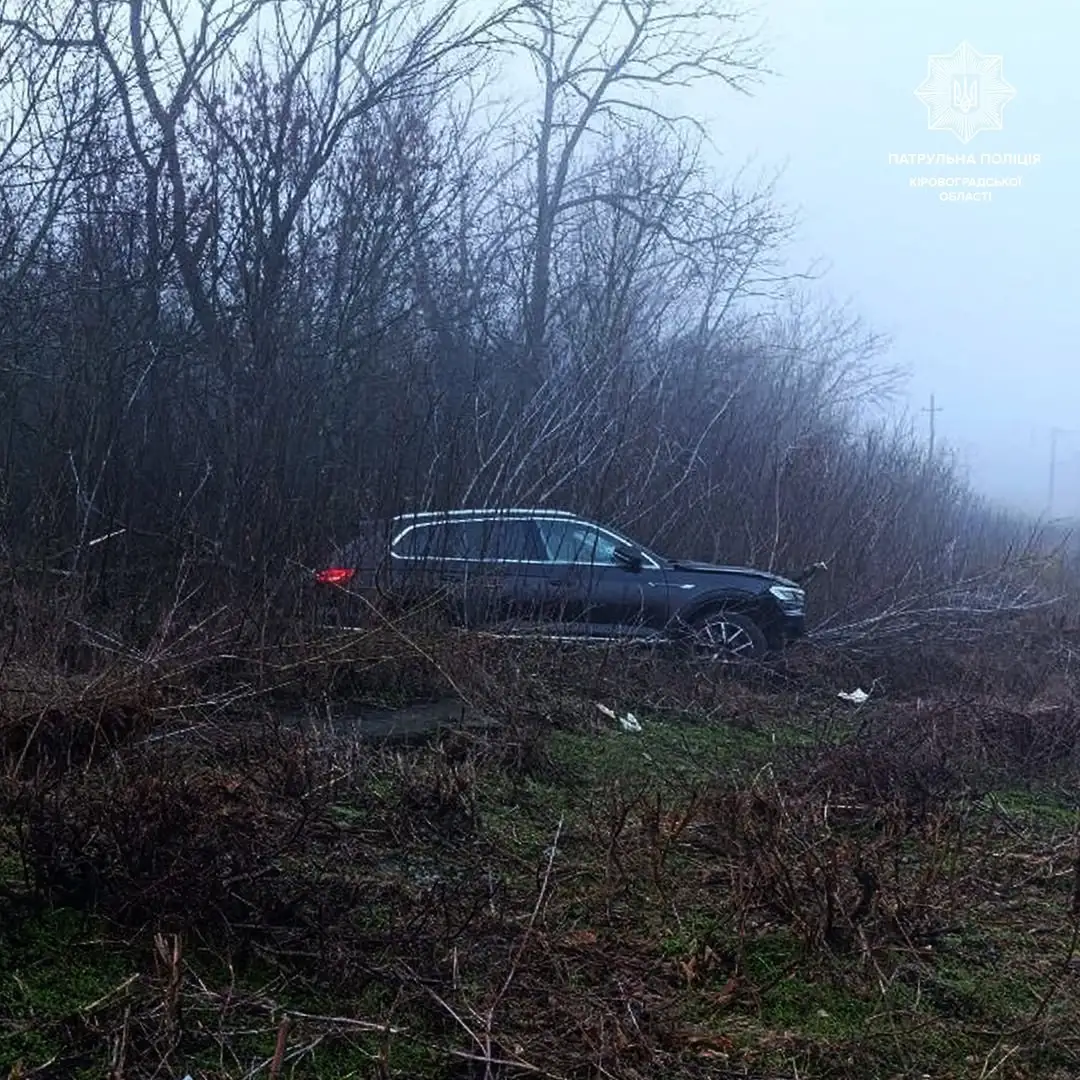 Біля Кропивницького Volkswagen врізався в дерево: обійшлося без постраждалих