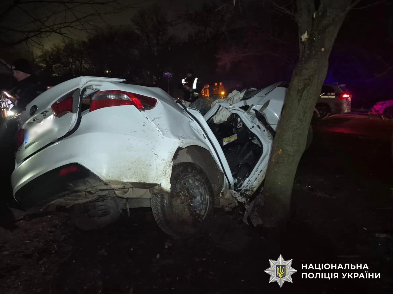 Водій легковика загинув внаслідок аварії в Кропивницькому