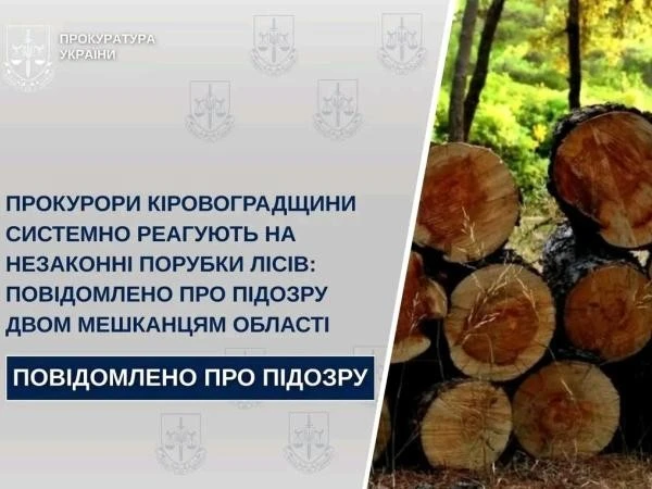 У Кіровоградській області двом чоловікам повідомили про підозру за незаконні порубки лісу