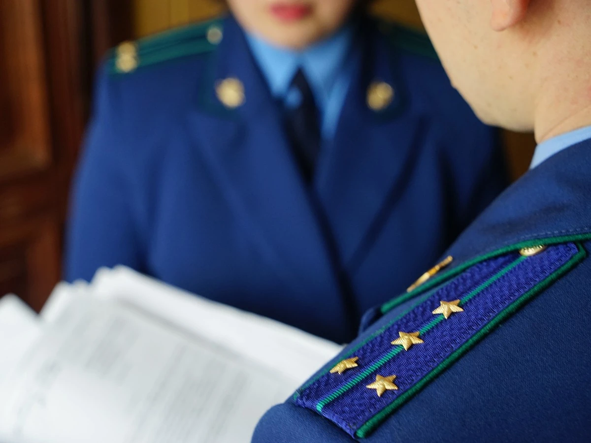 Майже 5 млн грн збитків довкіллю: прокурори передали до суду справу про незаконну вирубку у заказнику на Кіровоградщині