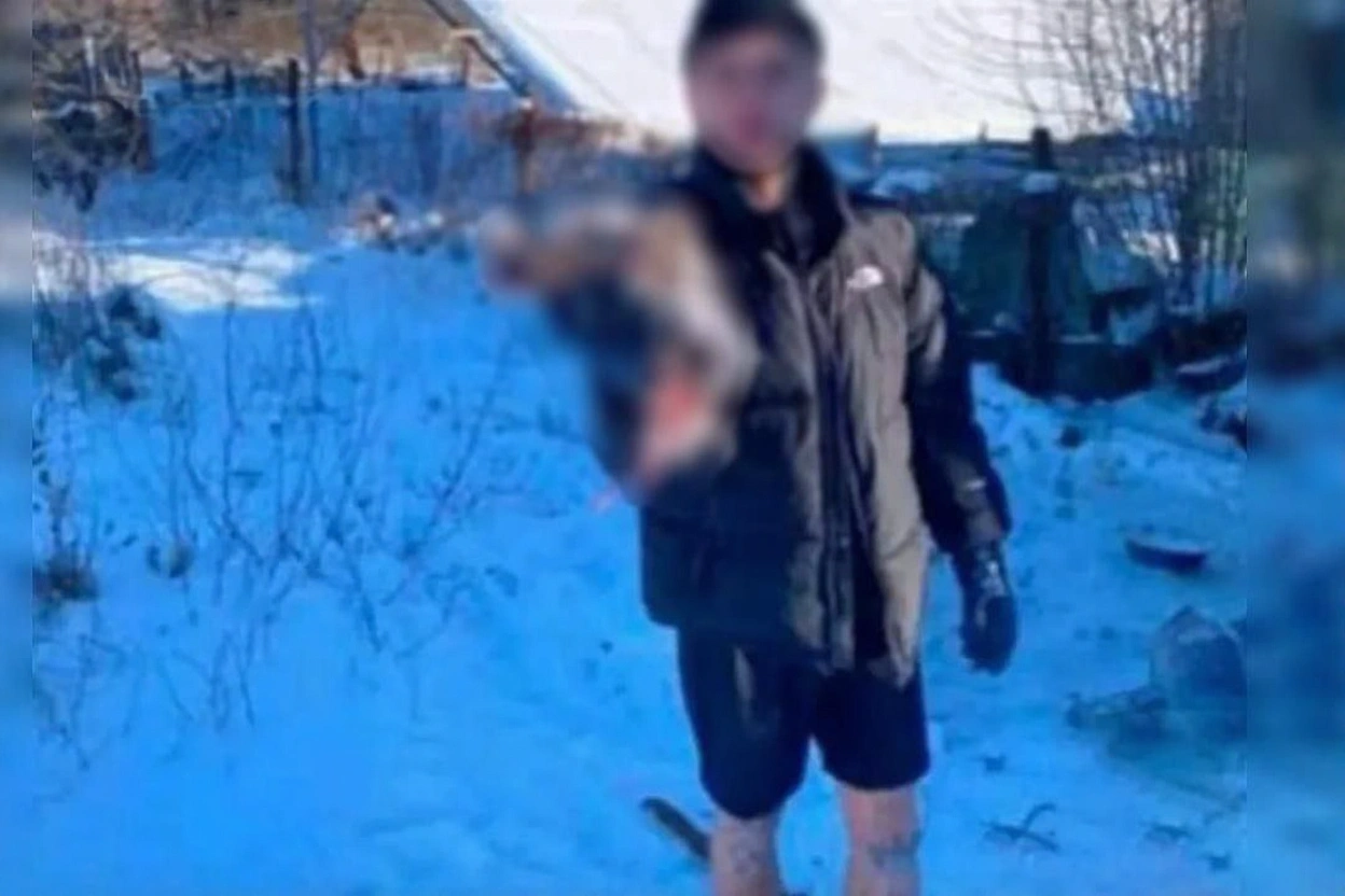 Жорстокість напоказ: у Знам’янці поліція розслідує вбивство собаки та відео знущання