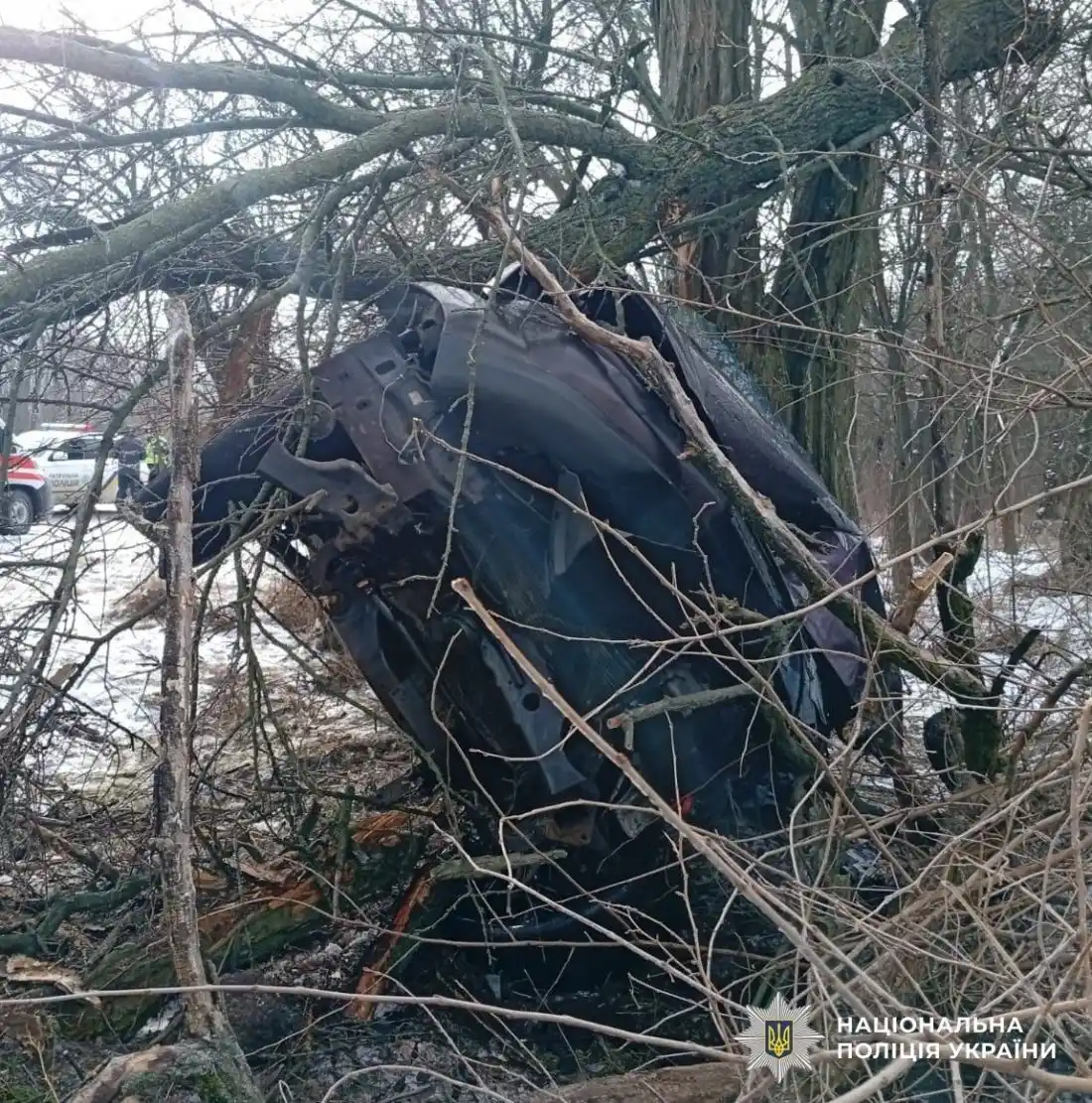Трагедія на Олександрійському шосе: у Кропивницькому внаслідок ДТП загинув водій